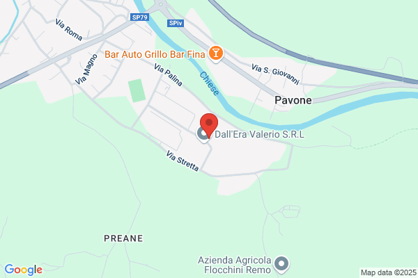 Pasini piergiacomo (Rag.)
