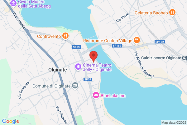 Immobiliare Lario Orientale Srl