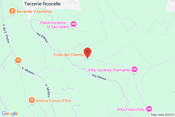 Amici Del Cilento Amici Del Cilento