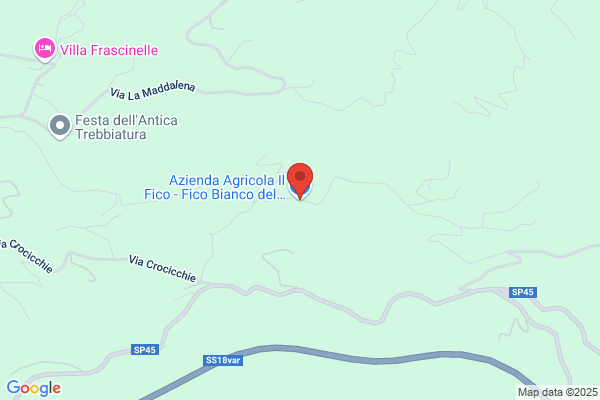Azienda Agricola Il Fico - Fico Bianco del Cilento Dop Biologico