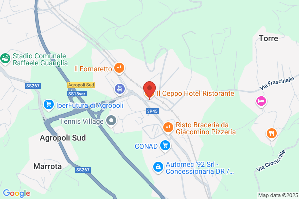 Il Ceppo Hotel Ristorante