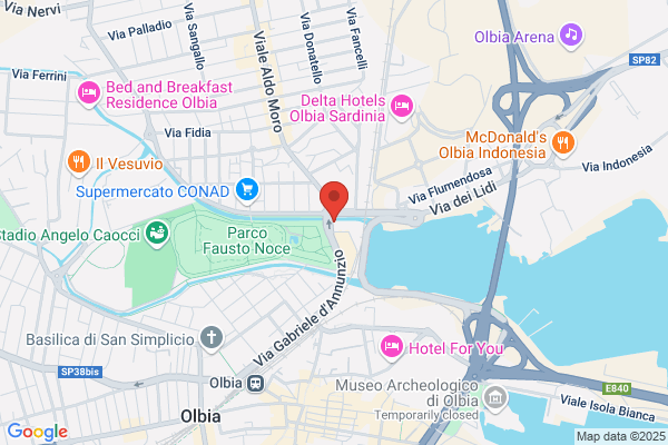 Pinna tonina