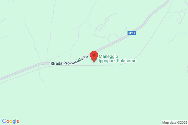 Maneggio Ippopark Palahorse