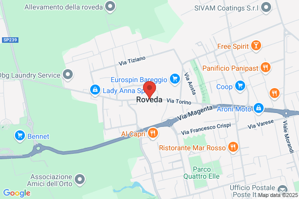 Roveda veronica