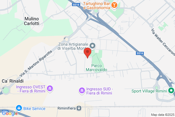 Everest Srl