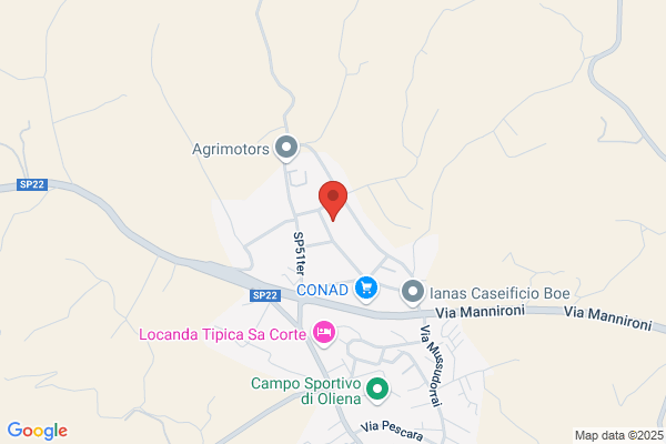 Linserzione S.N.C. Di Puligheddu A. & Cattide S.