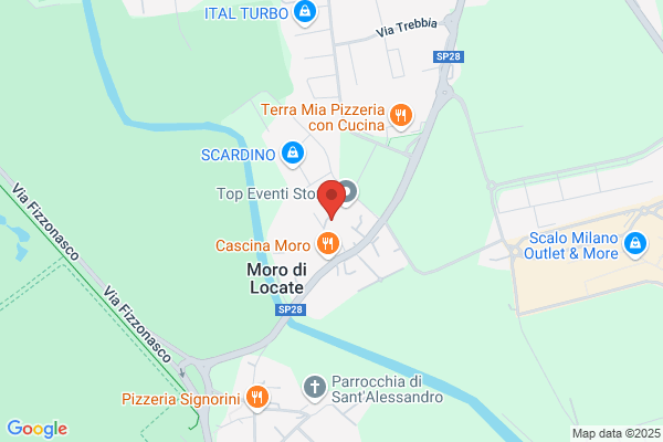 Viscavi