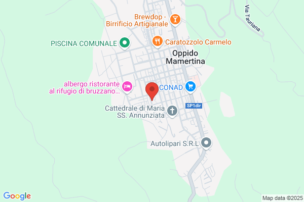 Pistoni gerarda (Avv.)