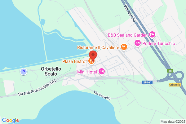 Il Re Di Fiori Snc