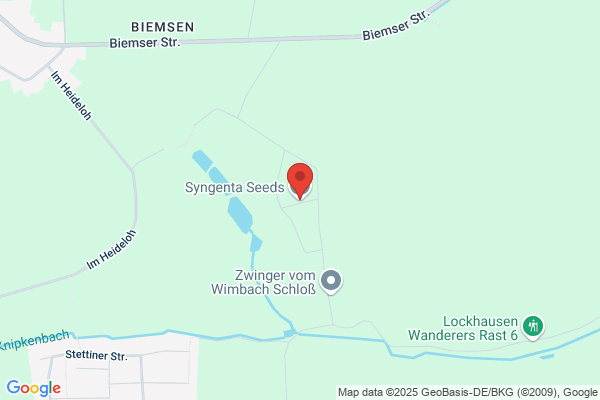 Syngenta Seeds Spa