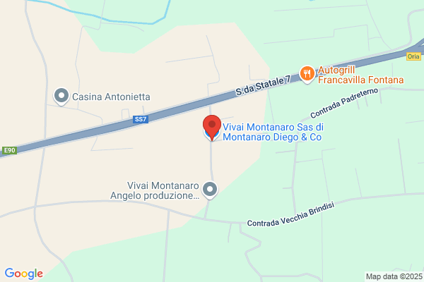 Vivai Montanaro Angelo-Produzione Piantine Orticole e Floricole
