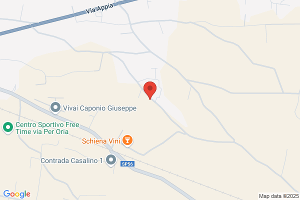 Vecchio cosimo