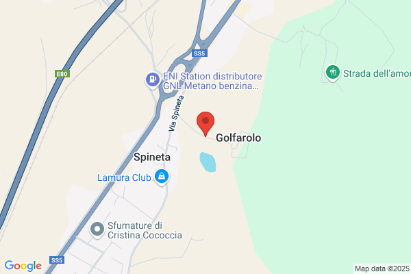 Liberti alfonso