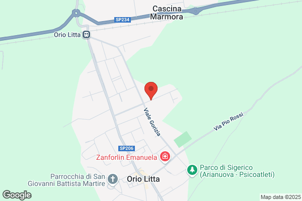 Oriolegno Di Figoni Pasquale E Lunghi Adalberto s.N.C.