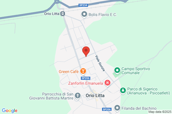 Ronzi angelo (Geom.)