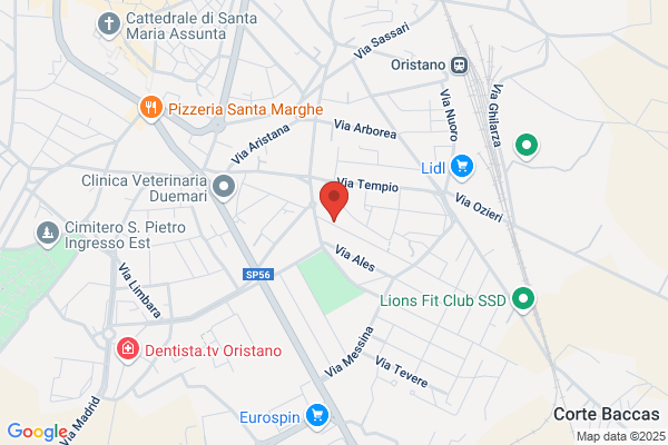 Pusceddu tiziana