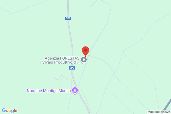Ente Foreste Della Sardegna