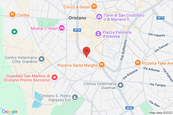 Palmas bruno (Dr.)