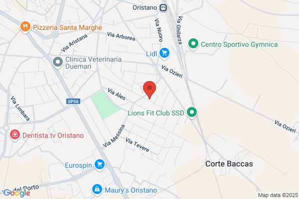 Porcu barbara