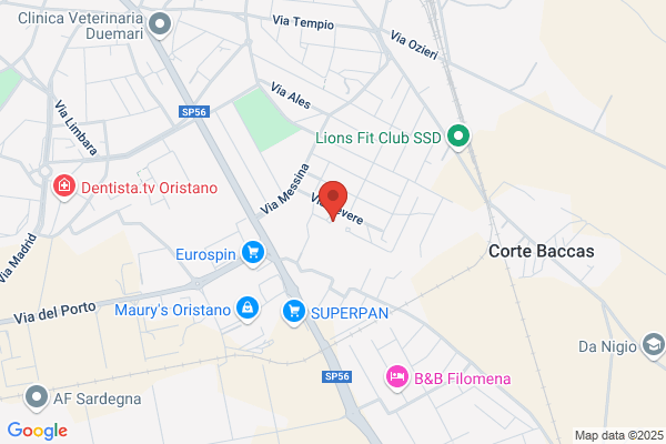 Suore Ancelle Della Visitazione