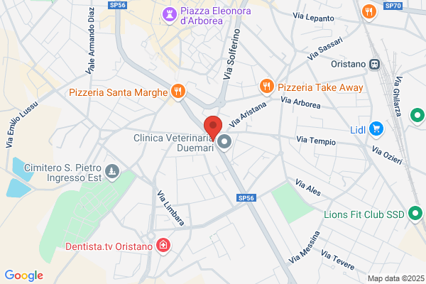 Ristorante Pizzeria Millenium