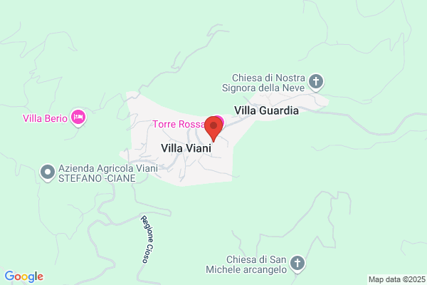 Viani E C. (S.A.S.)