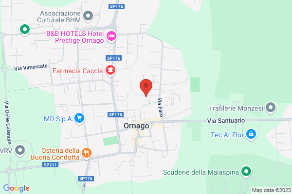 Tresoldi Ing. Flavio