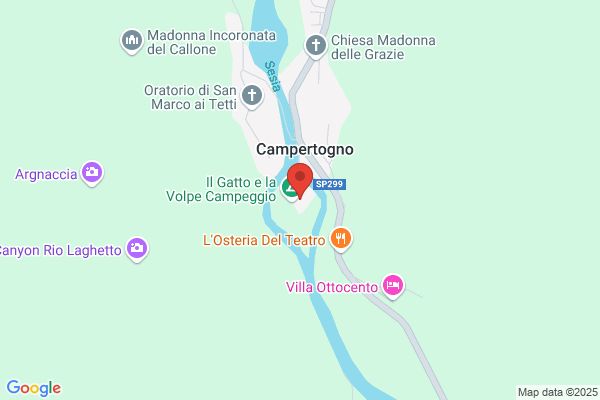 Il Gatto E La Volpe