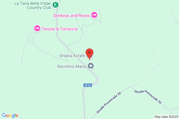 Ortana Asfalti