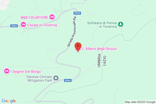 L' Albero degli Struzzi