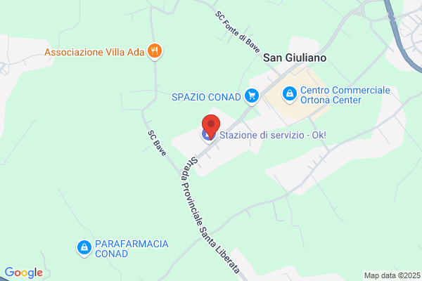 Primavera enzo