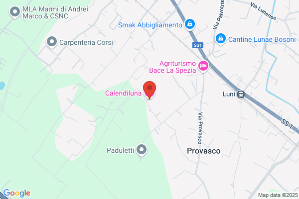 Spavone candida