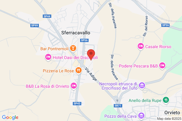 Scuola Elementare