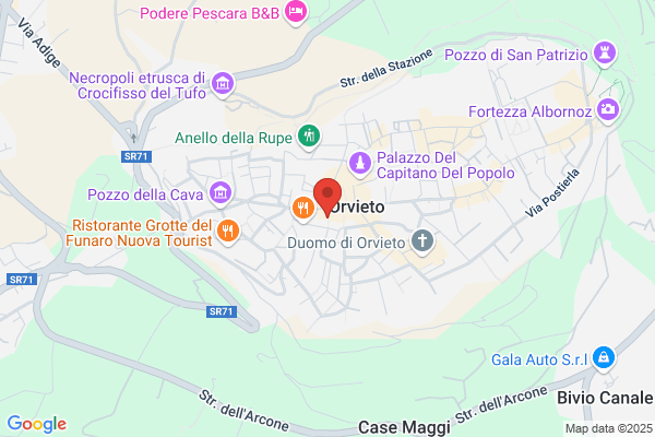 Fringuello Silvia
