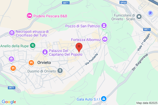 Fringuello Silvia