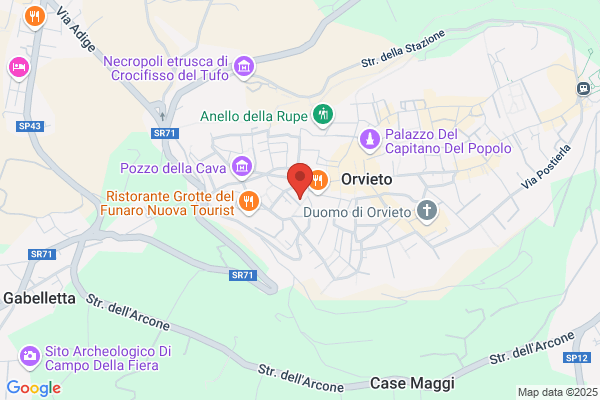 Zazzaretta felice (Geom.)