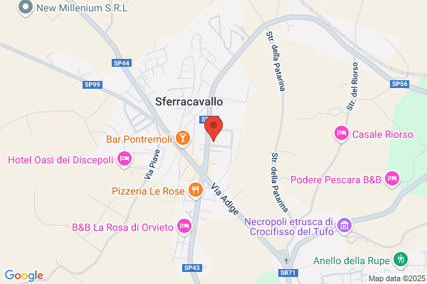 Farmacia Camilli Sas