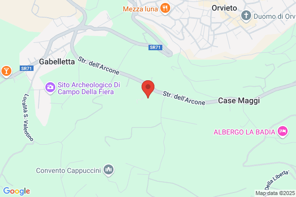 Olimpieri americo (Dr.)