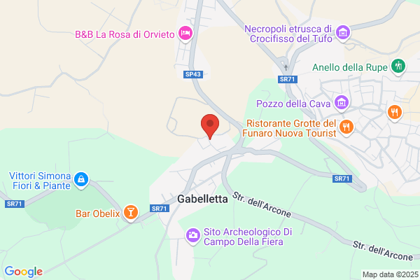 Saia giulio