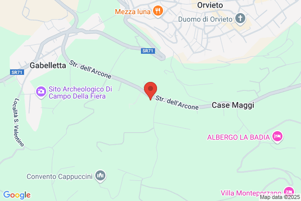 Frizza Paolo