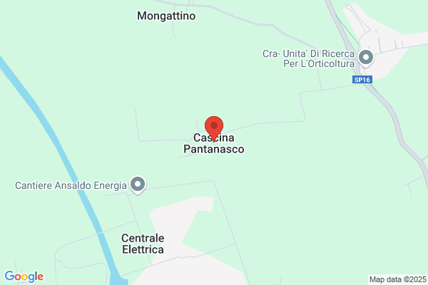 Orsini francesco
