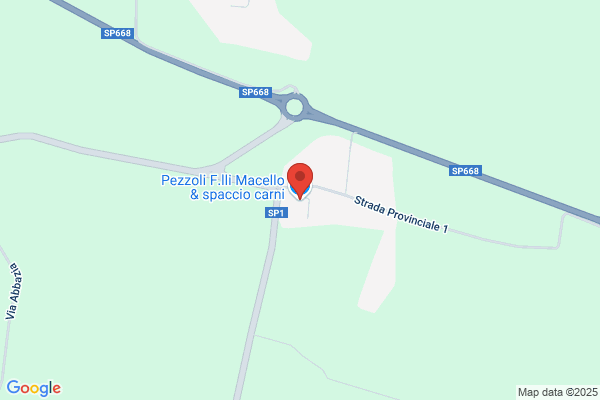 Pezzoli alberto