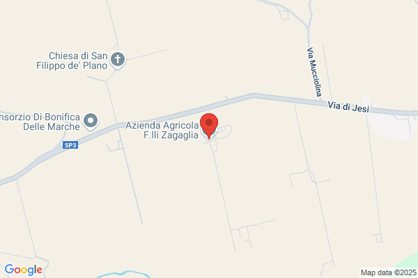 Zagaglia edera