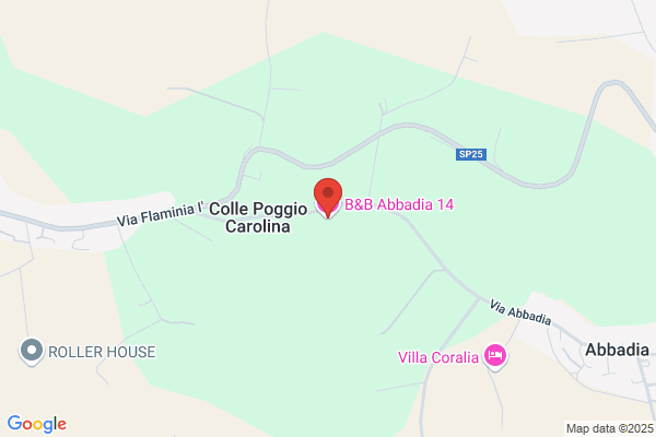 Gambini Guido