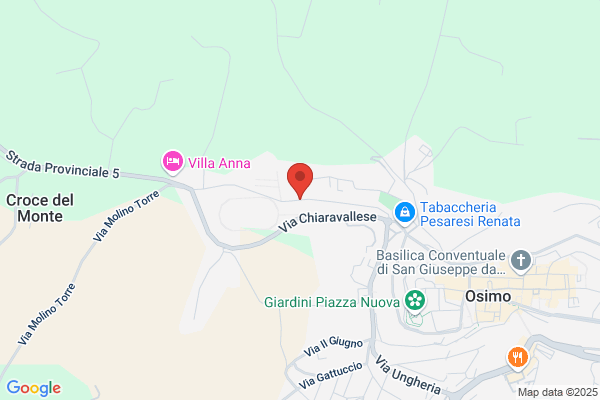 Municipio Di Osimo