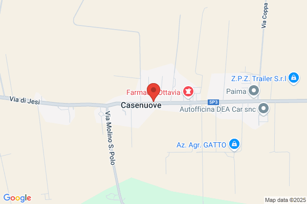 Marconi giuseppina