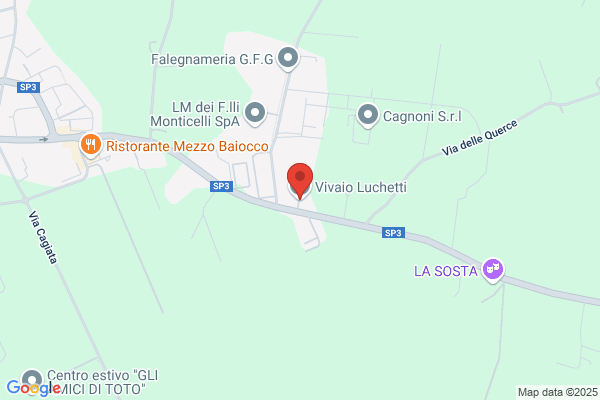 Luchetti nazzareno