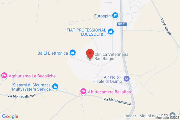 Biondi Funeral Service - Casa Funeraria