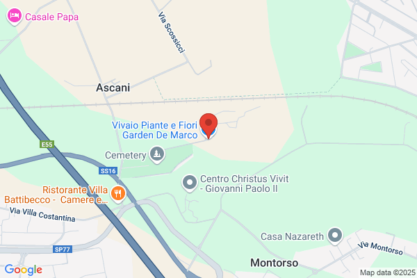 Vivai De Marco Antonio