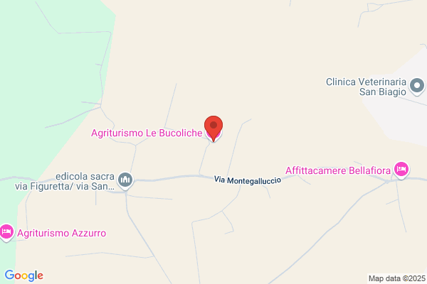 Edera Collezioni Esclusive